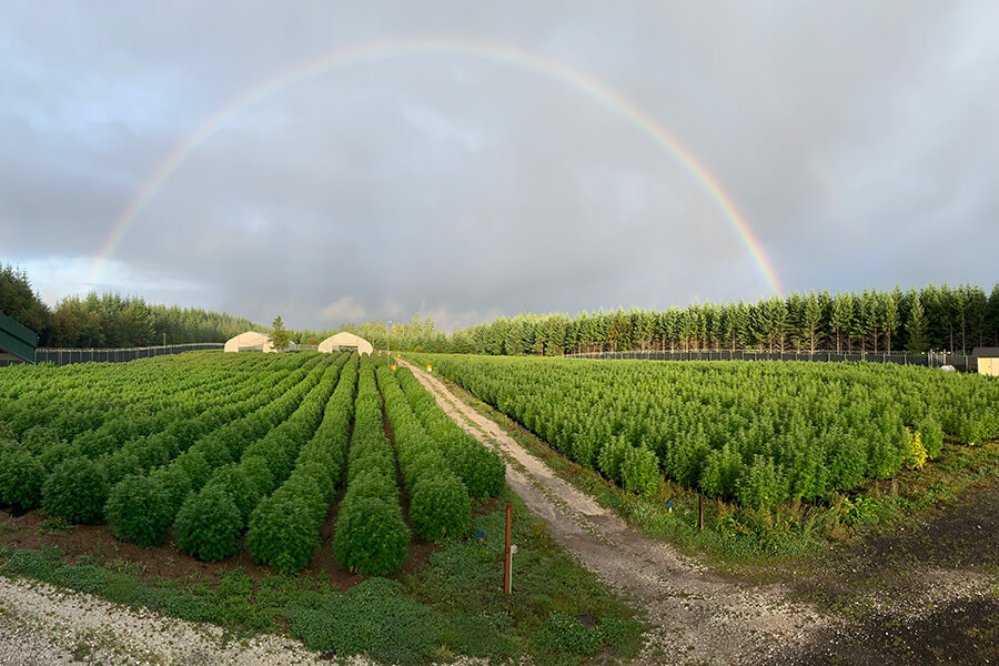 elevation-about-sustainability